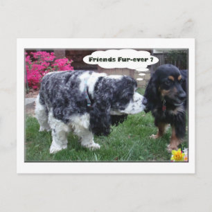 Cartão Postal Pele-nunca dos melhores amigos