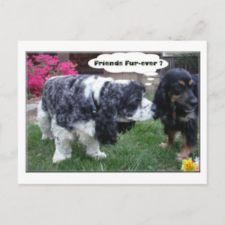 Cartão Postal Pele-nunca dos melhores amigos