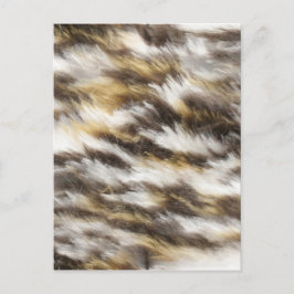 Cartão Postal peles de leopardo