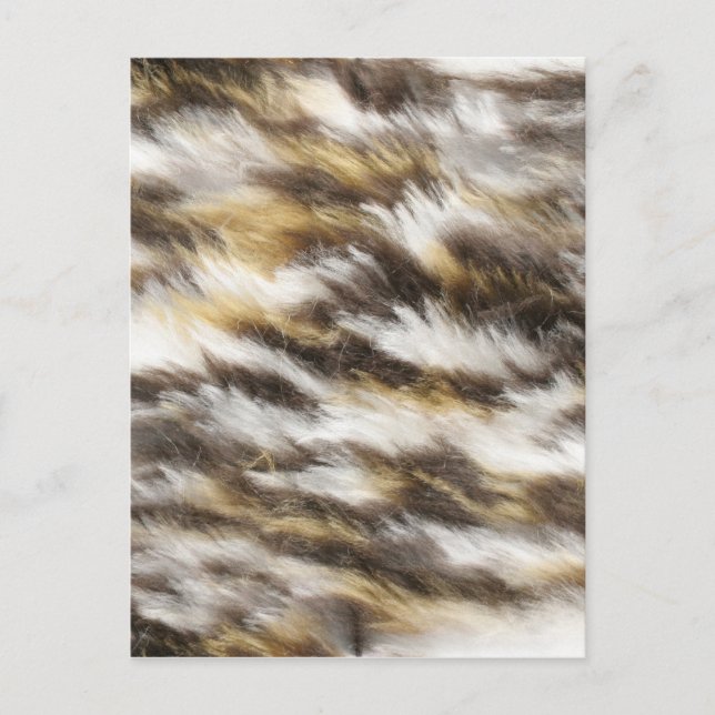 Cartão Postal peles de leopardo (Frente)