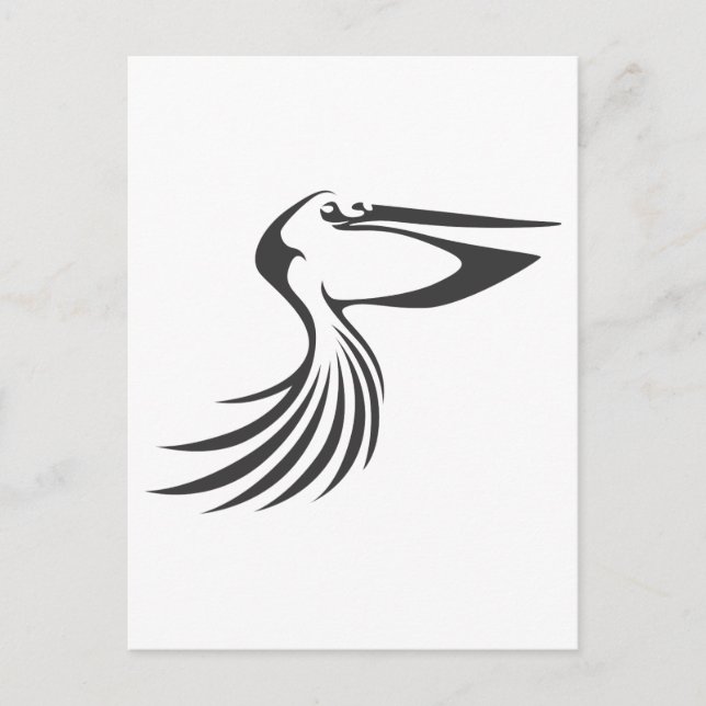 Cartão Postal Pelican (Frente)