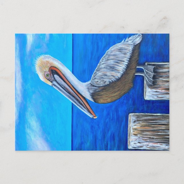 Cartão Postal Pelican (Frente)