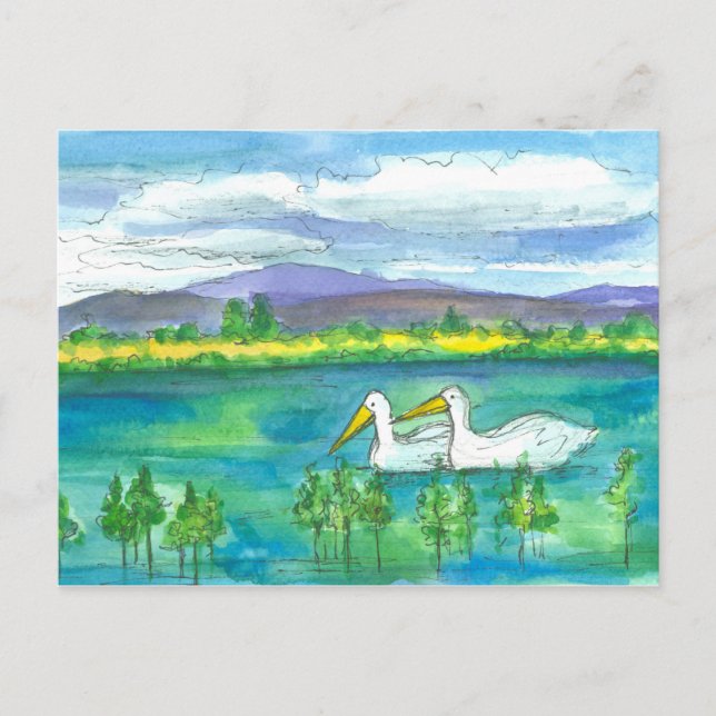 Cartão Postal Pelican Birds Desert Mountain Lake Watercolor (Frente)
