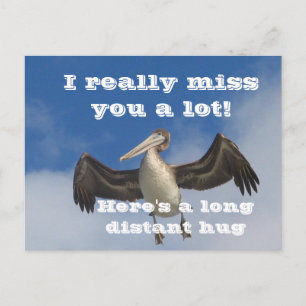 Cartão Postal Pelican Love_