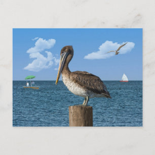 Cartão Postal Pelican no cartão-postal do Posto