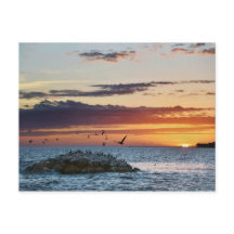 Pelican Rock Sunset, Dauphin Island, Alabama