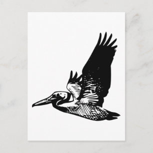 Cartão Postal Pelican voador