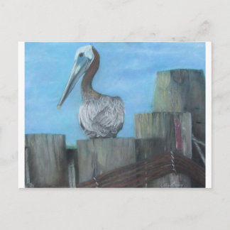 Cartão Postal Pelicano de Hatteras Ferry