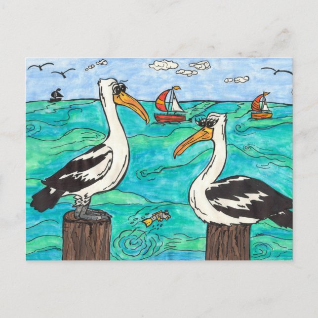 Cartão postal Pelicanos (Frente)
