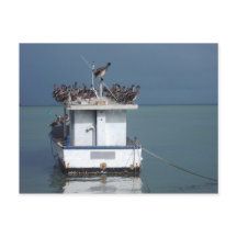 Pelicanos do Cais, San Fernando, Trinidade