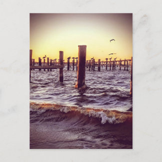 Cartão Postal Pelicanos sobre a Baía ao pôr do sol