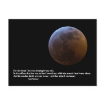 "Pelo Amigo Que Amo" Walt Whitman Ama Poema