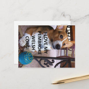 Cartão Postal pembroke welsh corgi bege fawn c foto