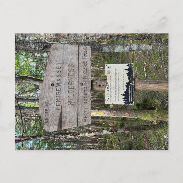 Cartão Postal Pemigewasset Wilderness Postcard (Frente)