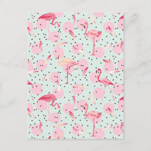 Cartão Postal Penas De Flamingo Nas Bolinhas 2