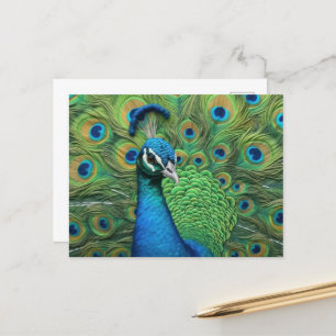 Cartão Postal Penas de Pavão