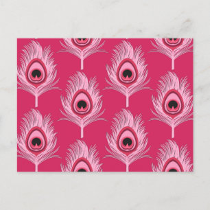 Cartão Postal Penas de Peacock, Pink Pastel, rosa-rosa Fuchsia