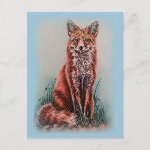 Cartão Postal Pêncil De Arte Animal De Desenho Da Raposa Vermel