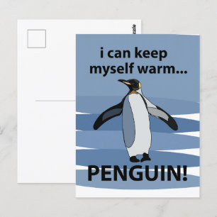 Cartão Postal Penguin Animal Fofinho Engraçado