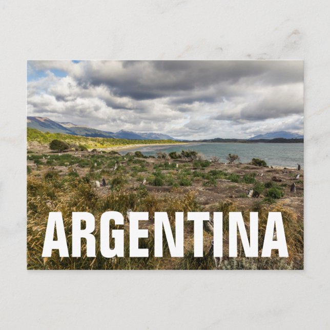 Cartão Postal Penguinera (Frente)