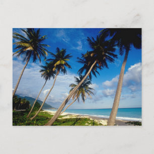 Cartão Postal Península de La Samana, República Dominicana,