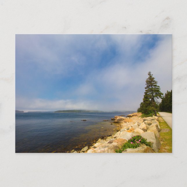 Cartão Postal Península Schoódica, Parque Nacional Acadia, Maine (Frente)