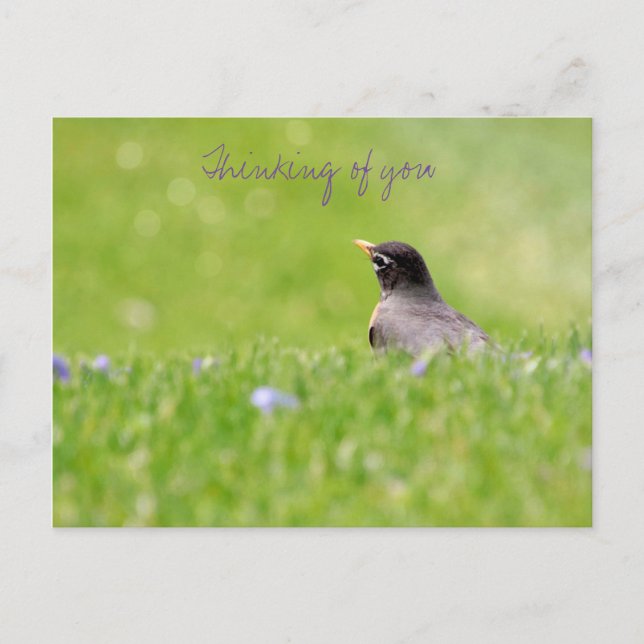 Cartão Postal Pensamentos do seu cartão-postal  (Frente)