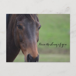 Cartão Postal Pensando de você…