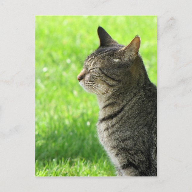 Cartão Postal Pensando... de vocês... (Frente)