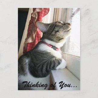 Cartão Postal Pensando em você...
