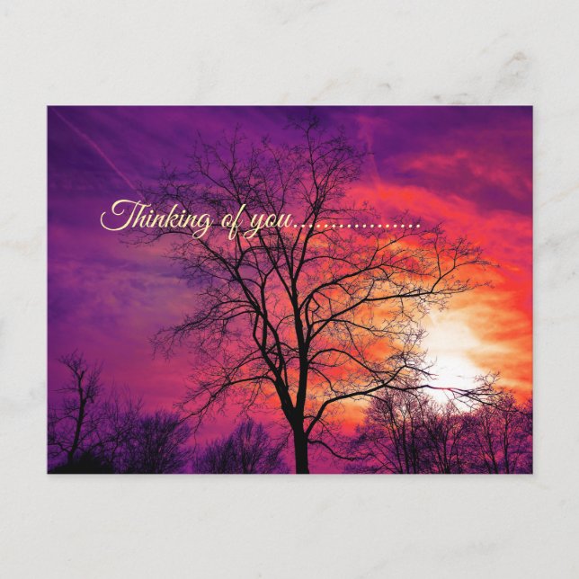 Cartão Postal pensando em você (Frente)