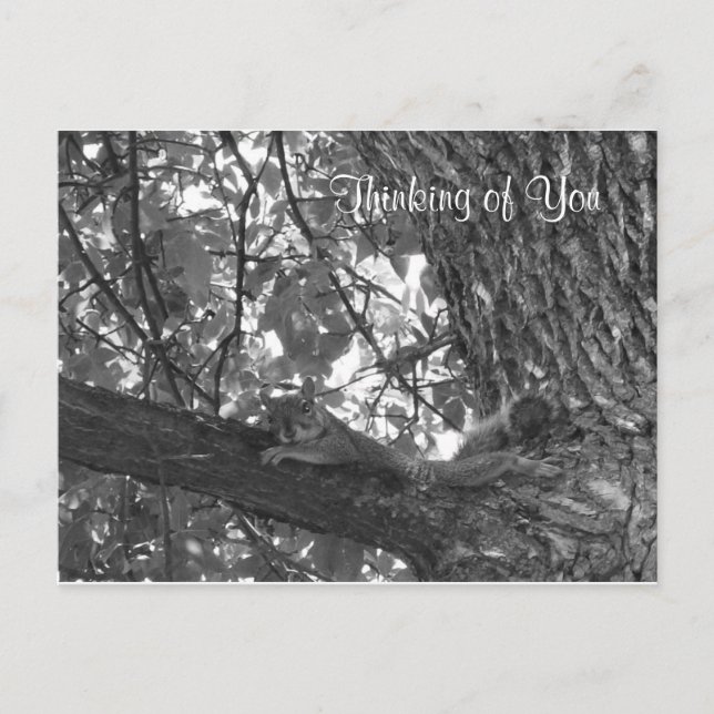 Cartão Postal Pensando em você (Frente)