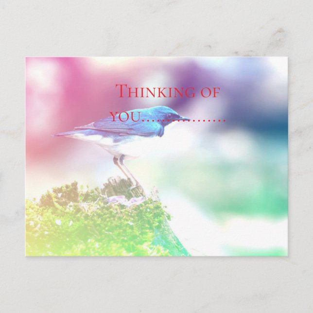 Cartão Postal Pensando em você... (Frente)