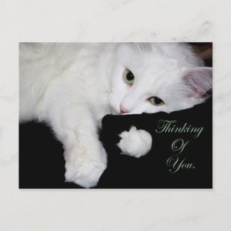 Cartão Postal Pensando em você.