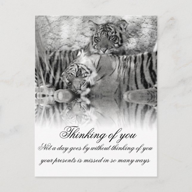 Cartão Postal Pensando em você_ (Frente)