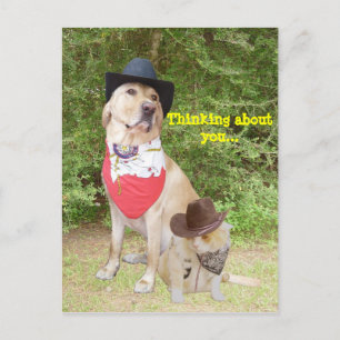 Cartão Postal Pensando Em Você
