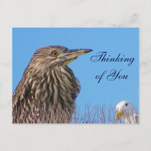 Cartão Postal Pensando em você_Card