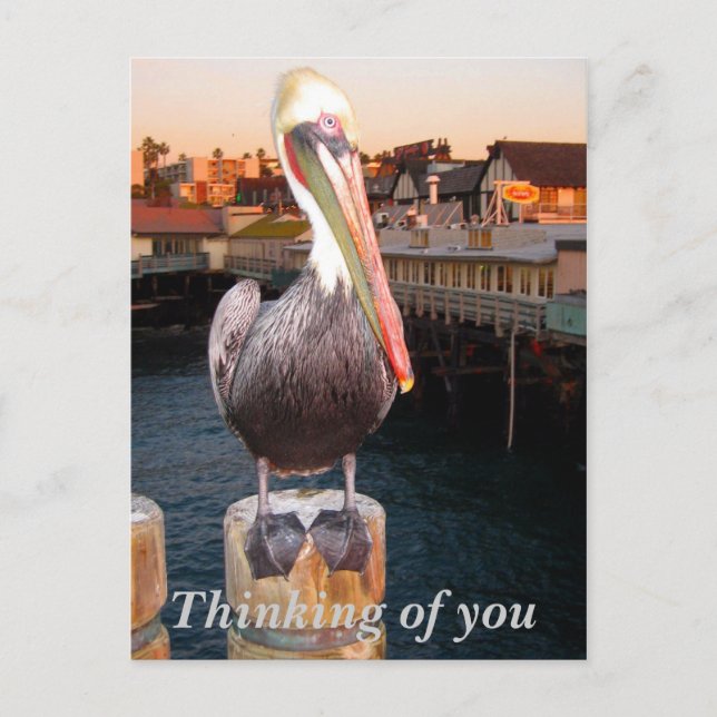 Cartão Postal Pensando em você_Cartão postal (Frente)