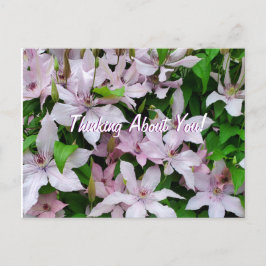 Cartão Postal Pensando Em Você Clematis Flores Roxas