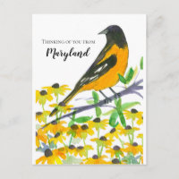 Pensando em você em Maryland Baltimore Oriole