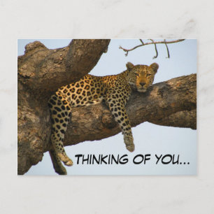 Cartão Postal Pensando em você (Leopardo em uma árvore)
