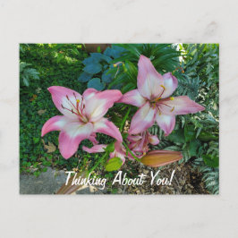Cartão Postal Pensando Em Vocês Bonito Lírios Rosa