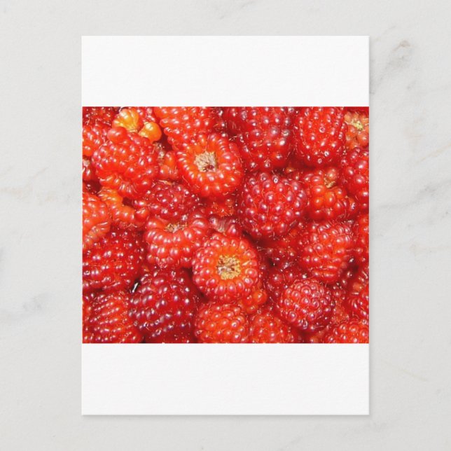 CARTÃO POSTAL PENSE EM RASPBERRY! (Frente)