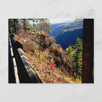 Cartão Postal Pensilvânia Grand Canyon - Leonard Harris Rua Park