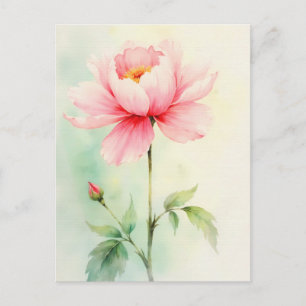 Cartão Postal Peônia Rosa
