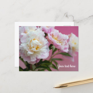 Cartão Postal Peônias Rosa
