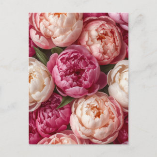 Cartão Postal Peônias rosadas