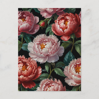 Cartão Postal Peônias rosadas