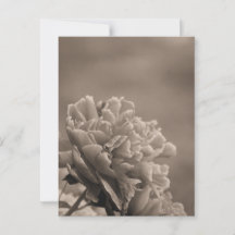 Peony Solteiro Sepia