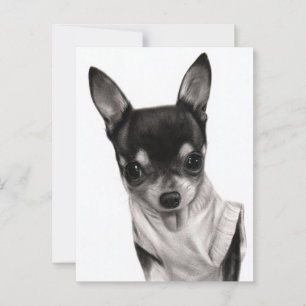 Cartão Postal Pequena Atitude - Personagem Chihuahua Pintado À M